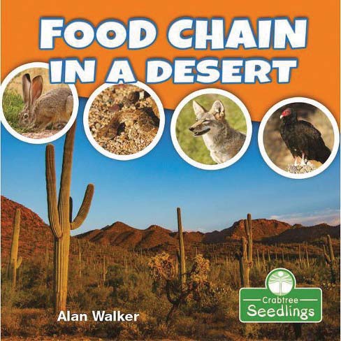 Food Chain in a Desert