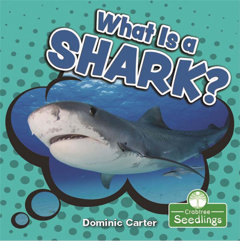 What Is a Shark?