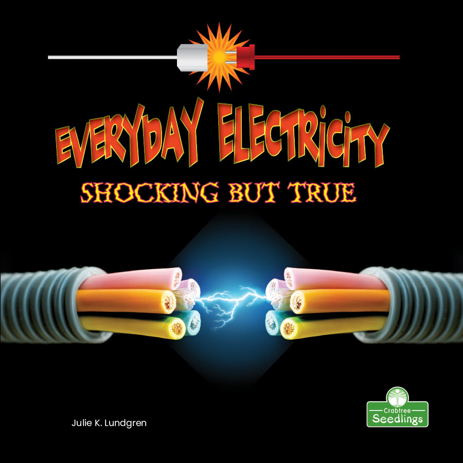 Everyday Electricity, Shocking But True