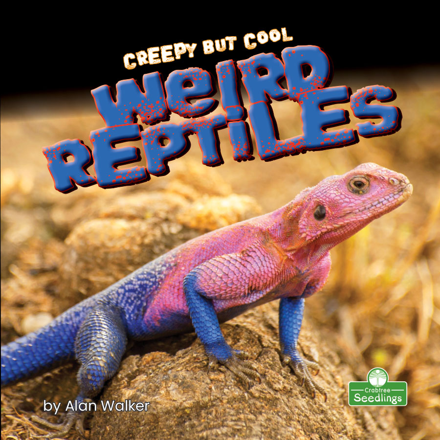 Creepy But Cool Weird Reptiles