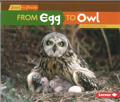 Start to Finish Cycles: From Egg to Owl