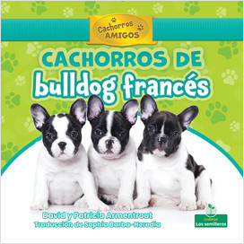Cachorros de bulldog francés (French Bulldog Puppies) (Spanish)