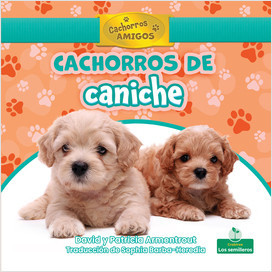 Cachorros de caniche (Poodle Puppies) (Spanish)