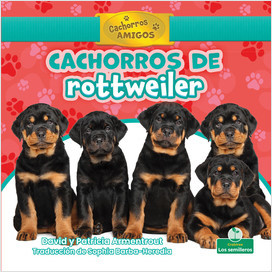 Cachorros de rottweiler (Rottweiler Puppies) (Spanish)
