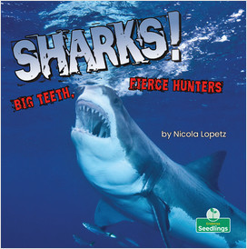 Sharks! Big Teeth, Fierce Hunters