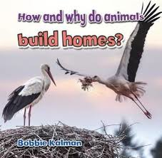 Animals Close Up: How and Why Do Animals Build Homes