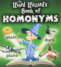 Word Wizards Book of Homonyms 
