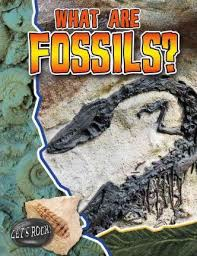 What Are Fossils? - Lets Rock