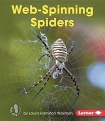 Backyard Critters: Web Spinning Spiders
