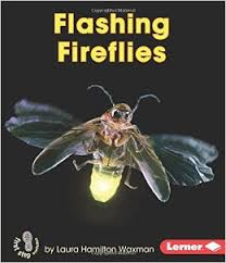 Backyard Critters: Flashing Fireflies