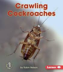 Backyard Critters: Crawling Cockroaches