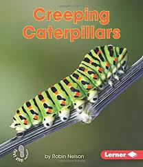 Backyard Critters: Creeping Caterpillars