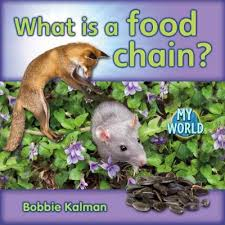 Animals In Our World: What is a Food Chain -  H - RR:14