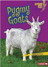 Pygmy Goats - Little Pets LB