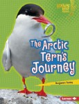 The Arctic Tern's Journey - Amazing Migrators LB