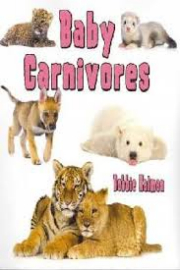 Baby Carnivores: It's Fun to Learn About Baby Animals