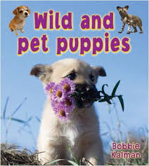 Wild and Pet Puppies: It's Fun to Learn About Baby Animals