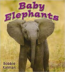 Baby Elephants: It's Fun to Learn About Baby Animals