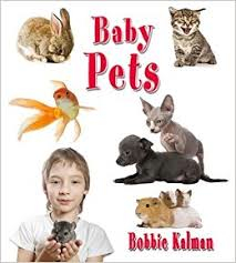 Baby Pets: It's Fun to Learn About Baby Animals