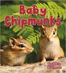 Baby Chipmunks: It's Fun to Learn About Baby Animals