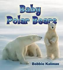 Baby Polar Bears: It's Fun to Learn About Baby Animals