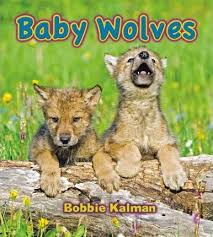 Baby Wolves - Its fun to learn about baby animals