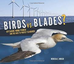 Birds vs Blades - Offshore Wind Power and the Race to Save Sea Brds