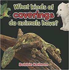 Animals Close Up: What Kinds of Coverings Do Animals Have
