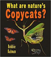 What are natures copycats? - Big Science Ideas