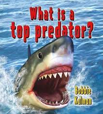 What is a top predator? - Big Science Ideas
