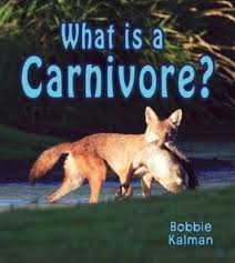 What is a Carnivore - Big Science Ideas