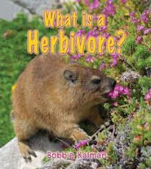 What is a Herbivore - Big Science Ideas