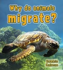 Why Do Animals Migrate? - Big Science Ideas