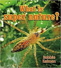 What is super nature? - Big Science Ideas