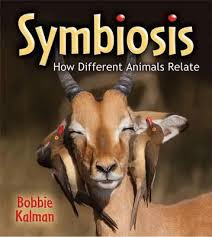 Symbiosis: How Different Animals Relate - Big Science Ideas