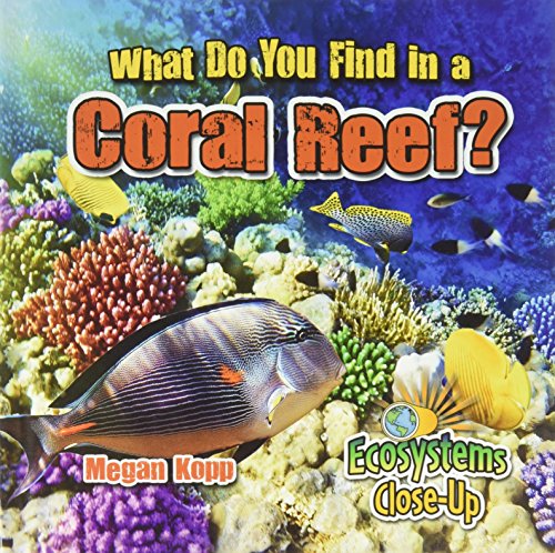 What Do You Find in a Coral Reef? - Ecosystems Close-Up