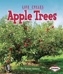 Apple Trees: Plant Life Cycles (First Steps)