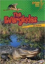 The Everglades: Famous Places (Lightning Bolt Books)