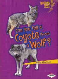Can You Tell a Coyote from a Wolf: Animal Look Alikes (Lightning Bolt Books)