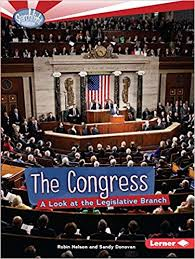 The Congress: A Look at the Legislative Branch (USA Searchlight Books)
