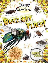 Buzz off Flies!: Creepy Crawlies