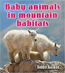 Baby Animals in Mountain Habitats:  The Habitats of Baby Animals