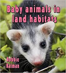 Baby Animals in Land Habitats: The Habitats of Baby Animals