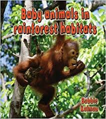 Baby Animals in Rainforest Habitats:  The Habitats of Baby Animals