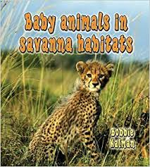 Baby Animals in Savanna Habitats:  The Habitats of Baby Animals
