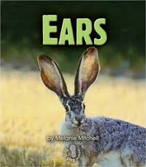 Ears: Animal Traits (First Step)