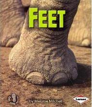Feet: Animal Traits (First Step)
