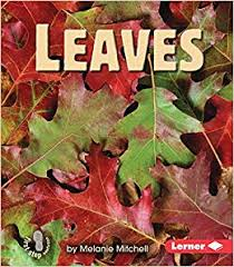 Leaves: Parts of Plants (First Step)