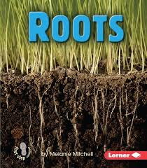 Roots: Parts of Plants (First Step)