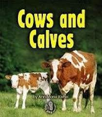 Cows and Calves: Animal Families (First Step)